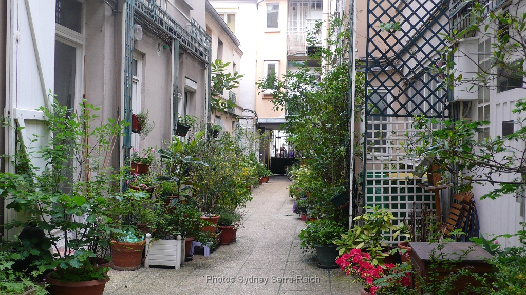 cour fleurie dans le 14 eme arrdt.JPG - Cour fleurie dans le 14 ème arrondissement.